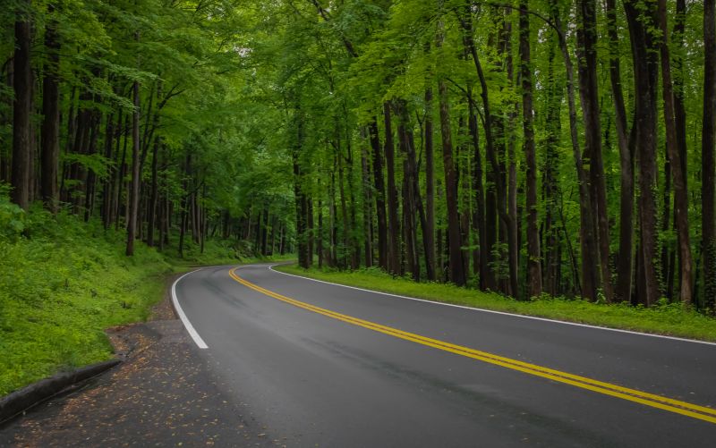 Road Coating Service in San Antonio, TX